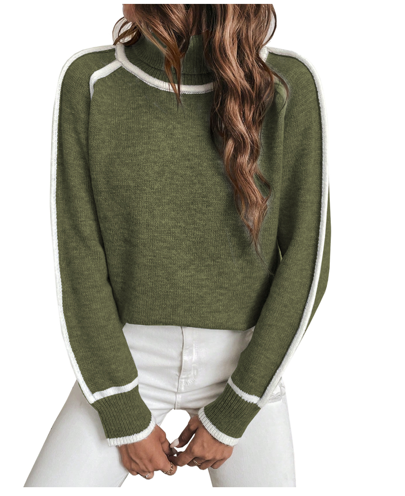 Pull Hiver Chic Col Roulé Femme 1
