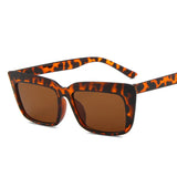 other : Camilla | Lunettes de Soleil Cat Eye Femme in TigreLeopard van Seroa