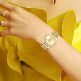 other : Alicia | Montre Femme Luxe Acier Inoxydable in van Seroa
