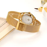other : Alicia | Montre Femme Luxe Acier Inoxydable in van Seroa