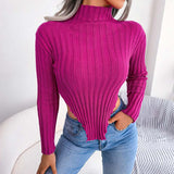 Pull Femme Col Roulé Long Asymétrique 6